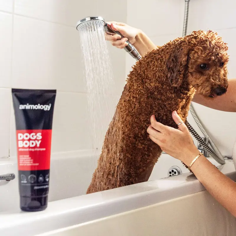 Animology Dogs Body Shampoo
