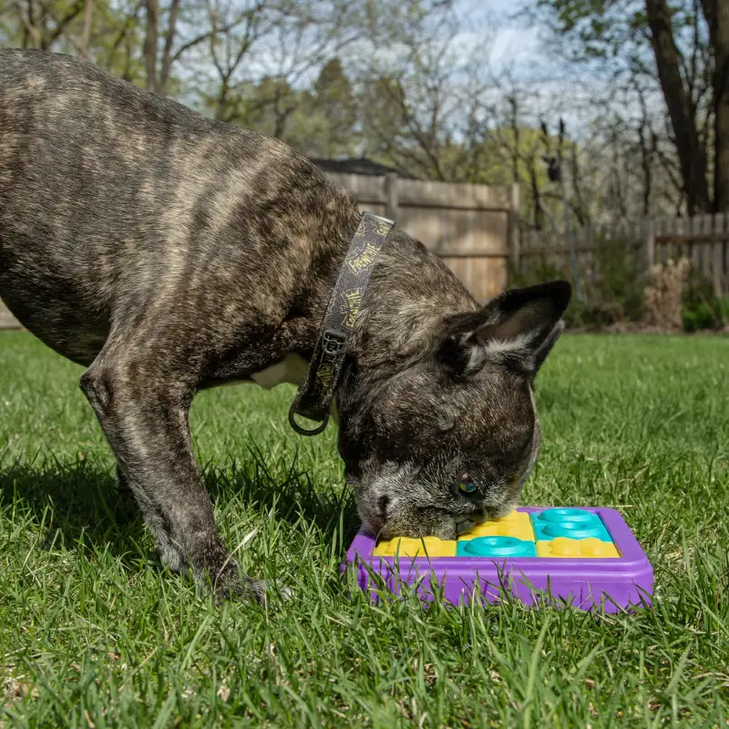 Brightkins Tic Tac Toe Popup Puzzle