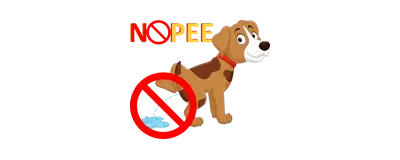 Doggie NoPee