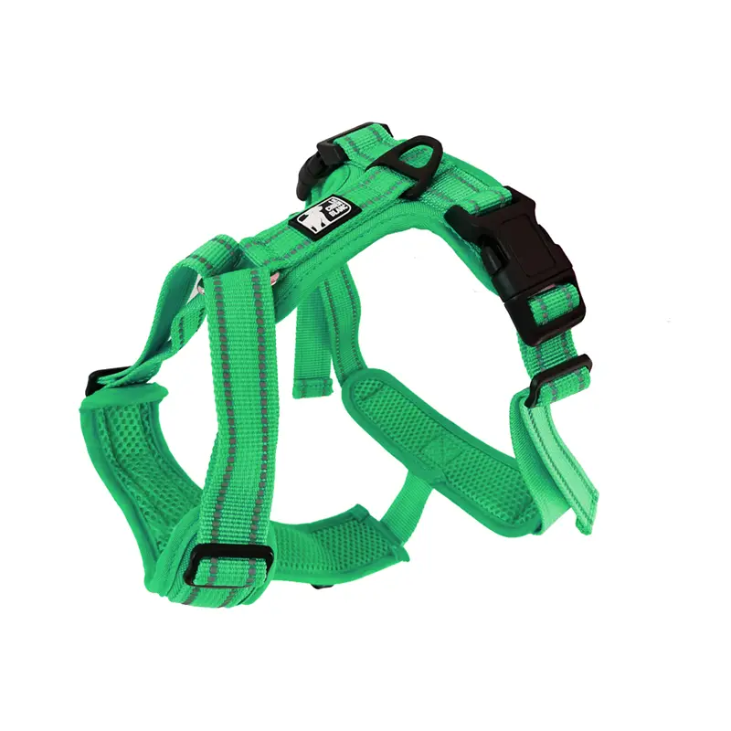Le Chien Blanc Charlie Harness in Green