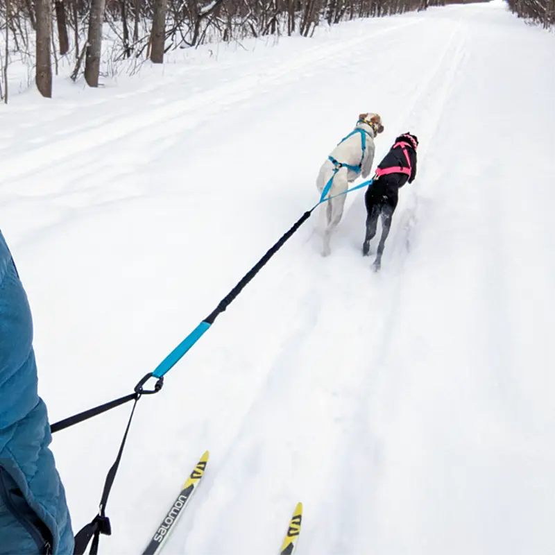 Le Chien Blanc Double BST Leash