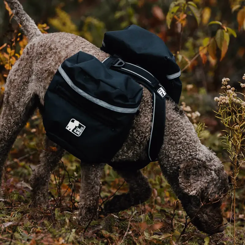 Le Chien Blanc Expedition Dog Backpack