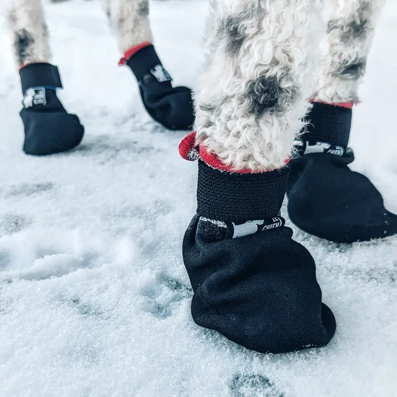 Le Chien Blanc Grip Boot Short
