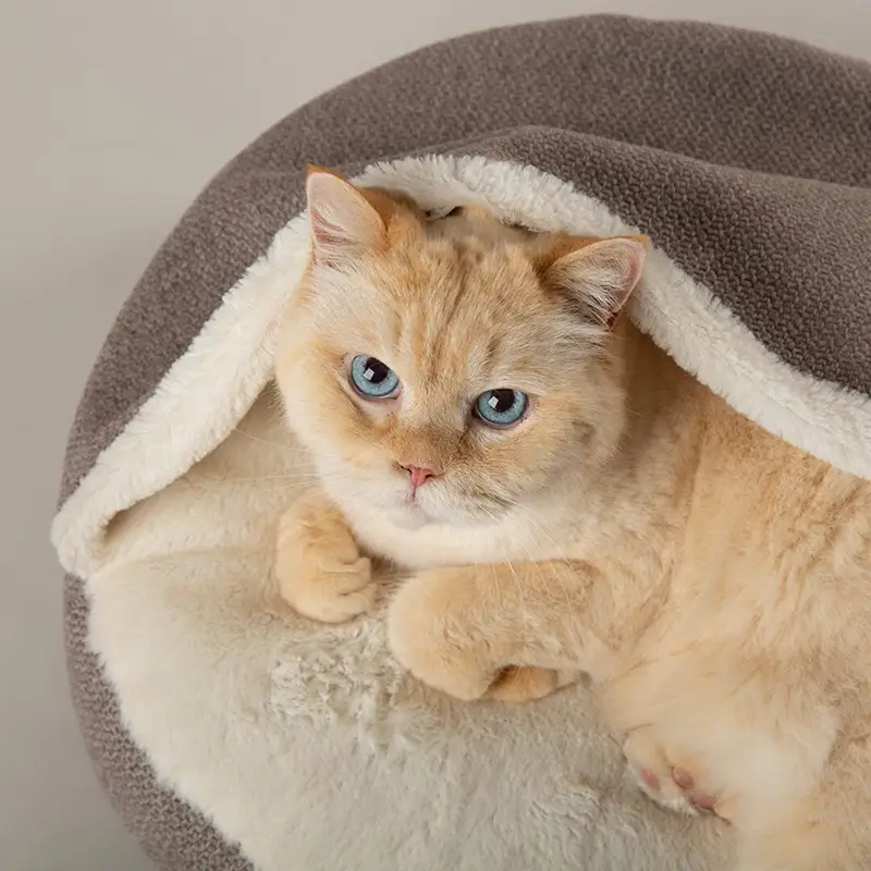 Scruffs Burrow Bed